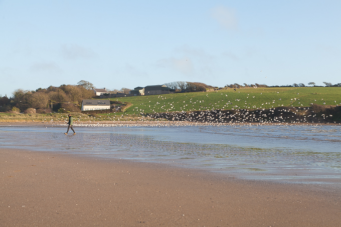 Ireland Nov 2015 (12)